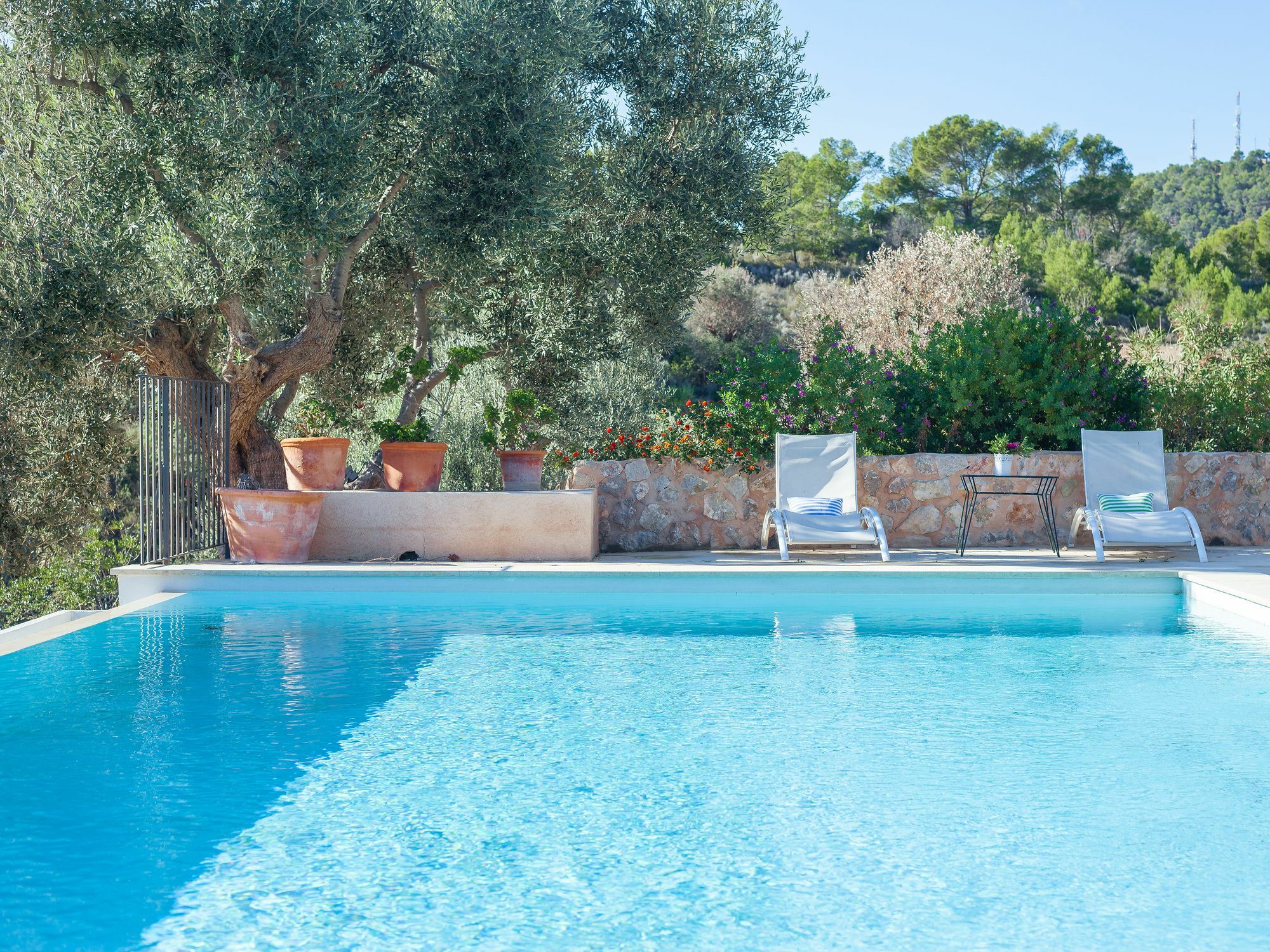 Villa Finca Luisa para 6 con piscina y vista mar Puerto de Andratx Exterior foto